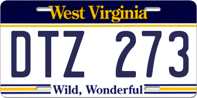 WV license plate DTZ273