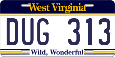 WV license plate DUG313