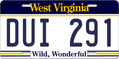 WV license plate DUI291