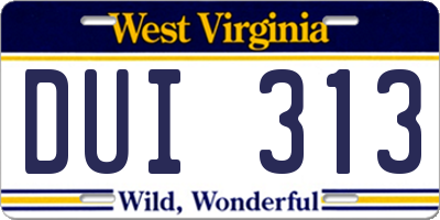 WV license plate DUI313