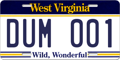 WV license plate DUM001