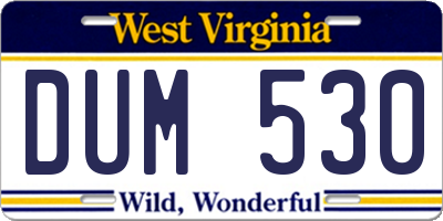 WV license plate DUM530