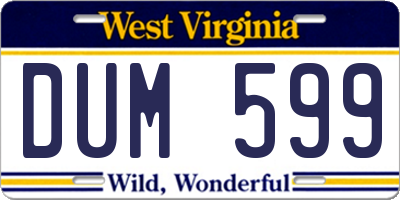 WV license plate DUM599