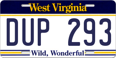 WV license plate DUP293