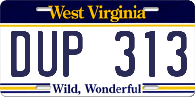 WV license plate DUP313