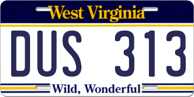 WV license plate DUS313