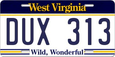 WV license plate DUX313