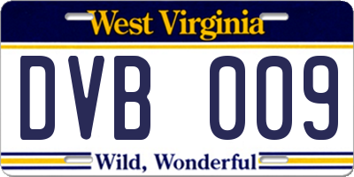 WV license plate DVB009