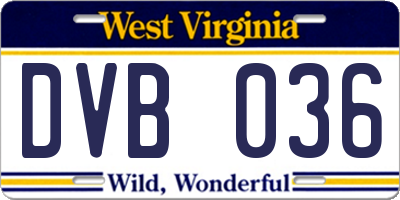 WV license plate DVB036