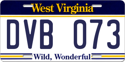 WV license plate DVB073