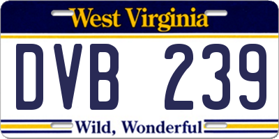 WV license plate DVB239