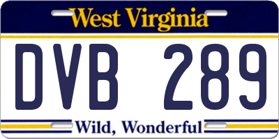 WV license plate DVB289