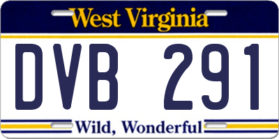 WV license plate DVB291