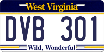 WV license plate DVB301