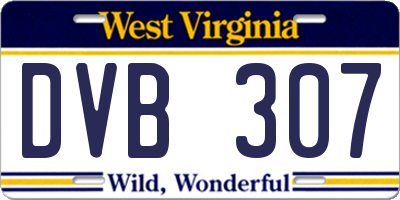 WV license plate DVB307