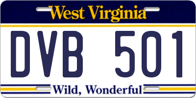 WV license plate DVB501