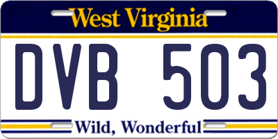 WV license plate DVB503