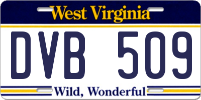 WV license plate DVB509