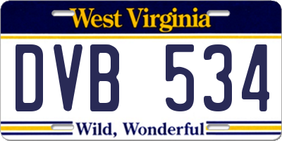 WV license plate DVB534