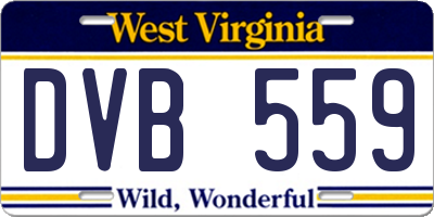 WV license plate DVB559