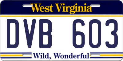 WV license plate DVB603