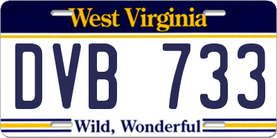 WV license plate DVB733
