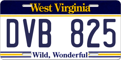 WV license plate DVB825