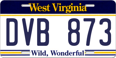 WV license plate DVB873