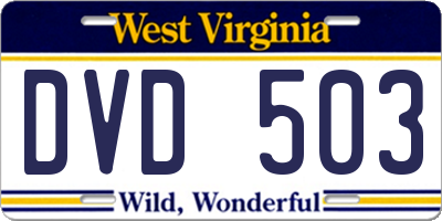 WV license plate DVD503