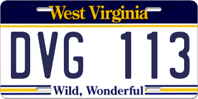 WV license plate DVG113