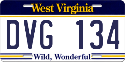 WV license plate DVG134