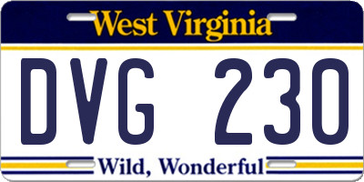 WV license plate DVG230