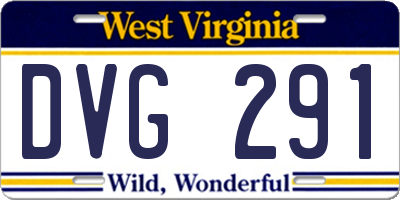 WV license plate DVG291