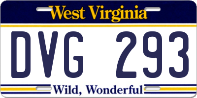 WV license plate DVG293