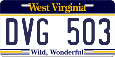 WV license plate DVG503