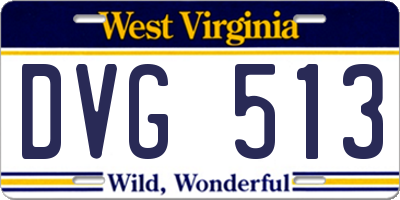 WV license plate DVG513