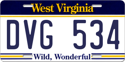 WV license plate DVG534