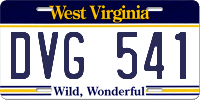 WV license plate DVG541
