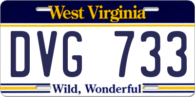 WV license plate DVG733