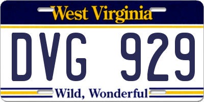 WV license plate DVG929