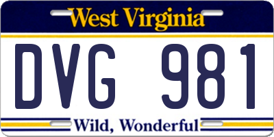 WV license plate DVG981