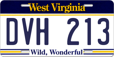 WV license plate DVH213