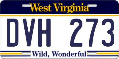 WV license plate DVH273