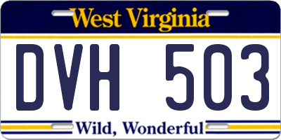 WV license plate DVH503