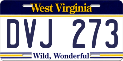 WV license plate DVJ273