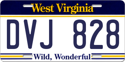 WV license plate DVJ828