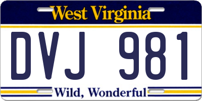 WV license plate DVJ981