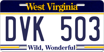 WV license plate DVK503