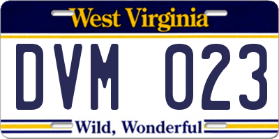 WV license plate DVM023