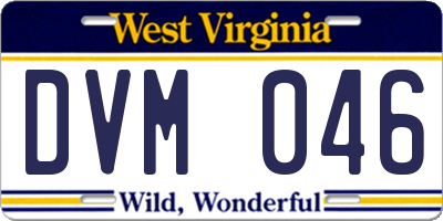 WV license plate DVM046